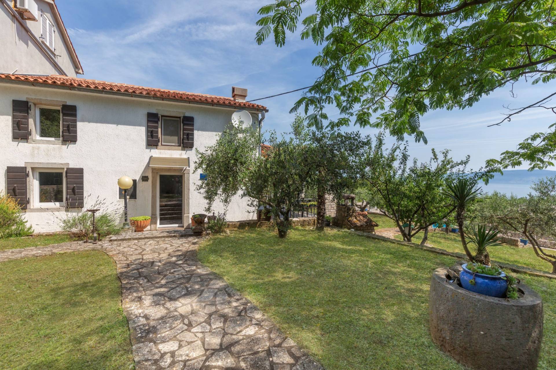 Side yard of the house