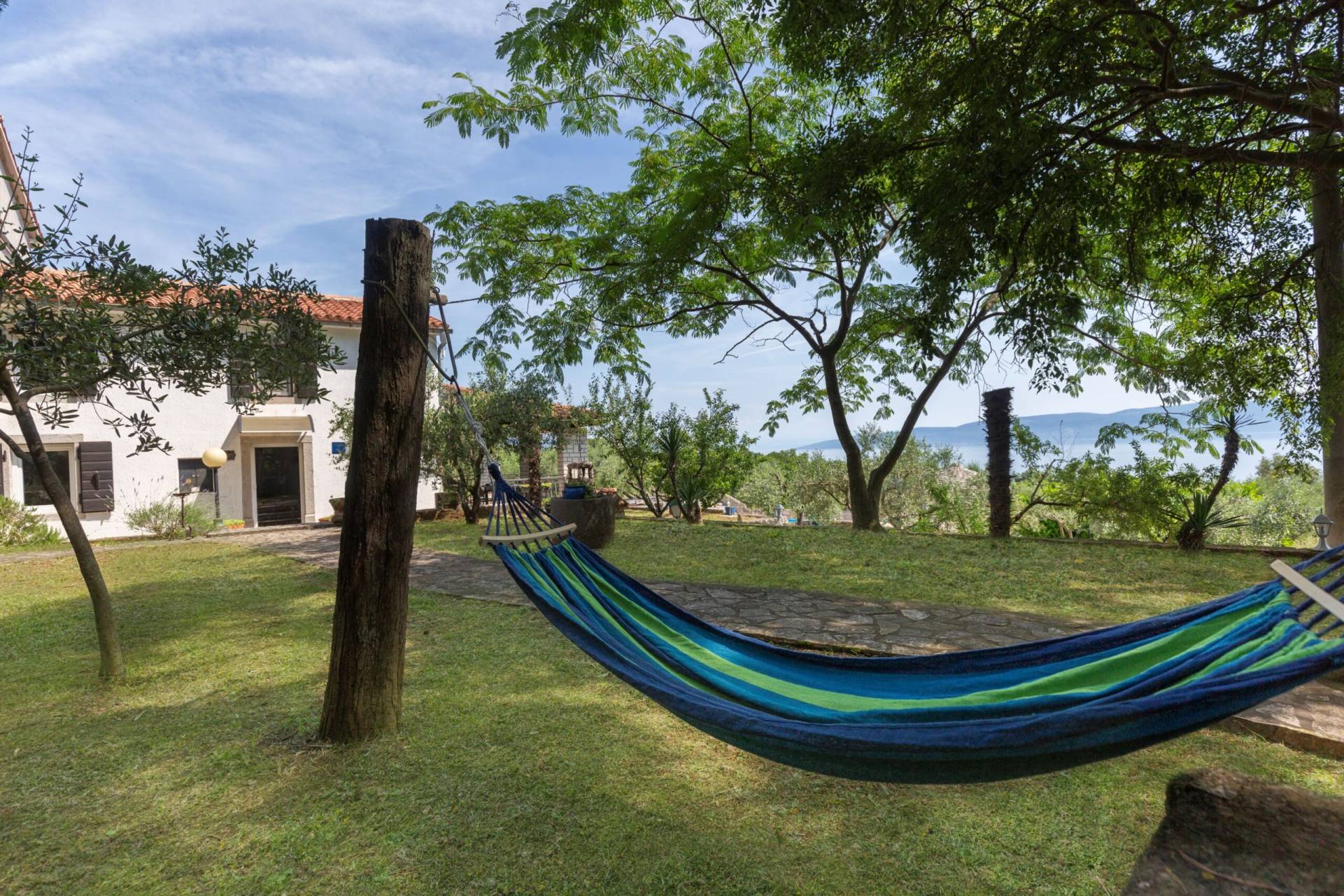 Hammock on the side yard of the house