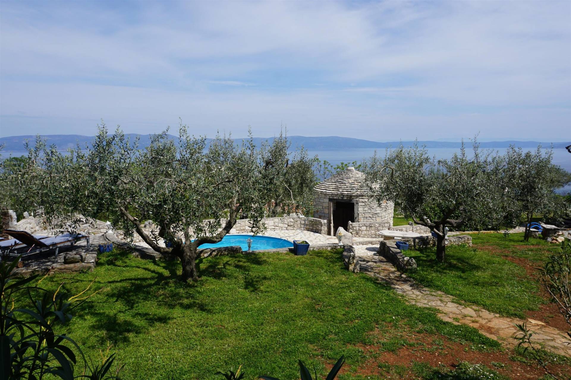 Beautiful view of the olive trees and pool in the yard of the hosue